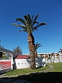 DSCN0206