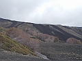 DSCN0290