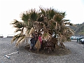DSCN0298