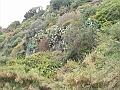 DSCN0303