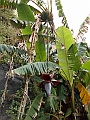 DSCN0306
