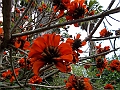 DSCN0307