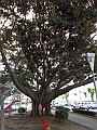 DSCN0318