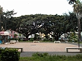 DSCN0320