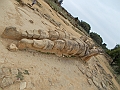 DSCN0339