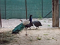 DSCN0349