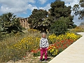DSCN0369