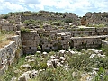 DSCN0393