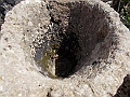 DSCN0404