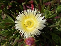 DSCN0412