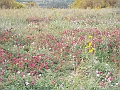 DSCN0416