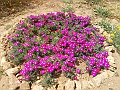 DSCN0417