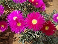 DSCN0418