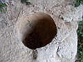 DSCN0448
