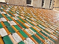 DSCN0501