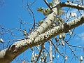 DSCN0521
