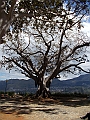 DSCN0523
