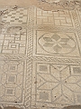 DSCN0560