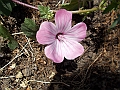 DSCN0563