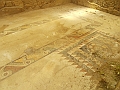 DSCN0574