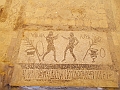 DSCN0577