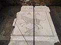 DSCN0580