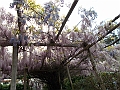 DSCN0581