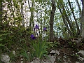 DSCN0586