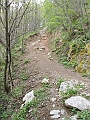 DSCN0590
