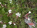 DSCN0594