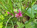 DSCN0599