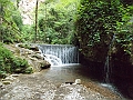 DSCN0606