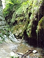 DSCN0613