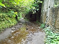 DSCN0623