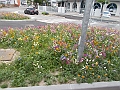 DSCN0664
