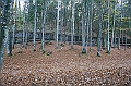IMG_7826