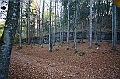 IMG_7827