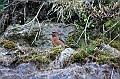 IMG_7855