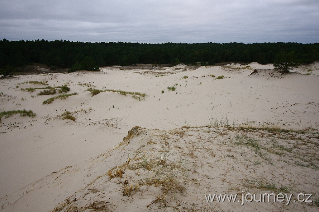 IMG_7596.JPG