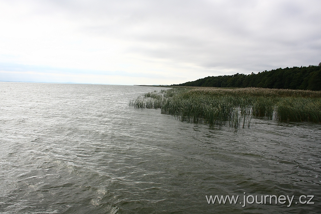 IMG_7632.JPG
