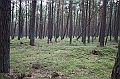 IMG_7593
