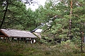 IMG_7631