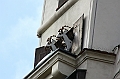 IMG_7790