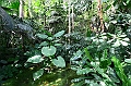 IMG_7796