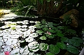 IMG_7797