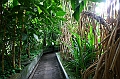 IMG_7799