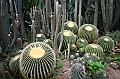 IMG_7814