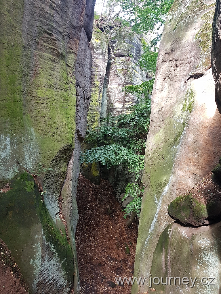 20201003_132611.jpg