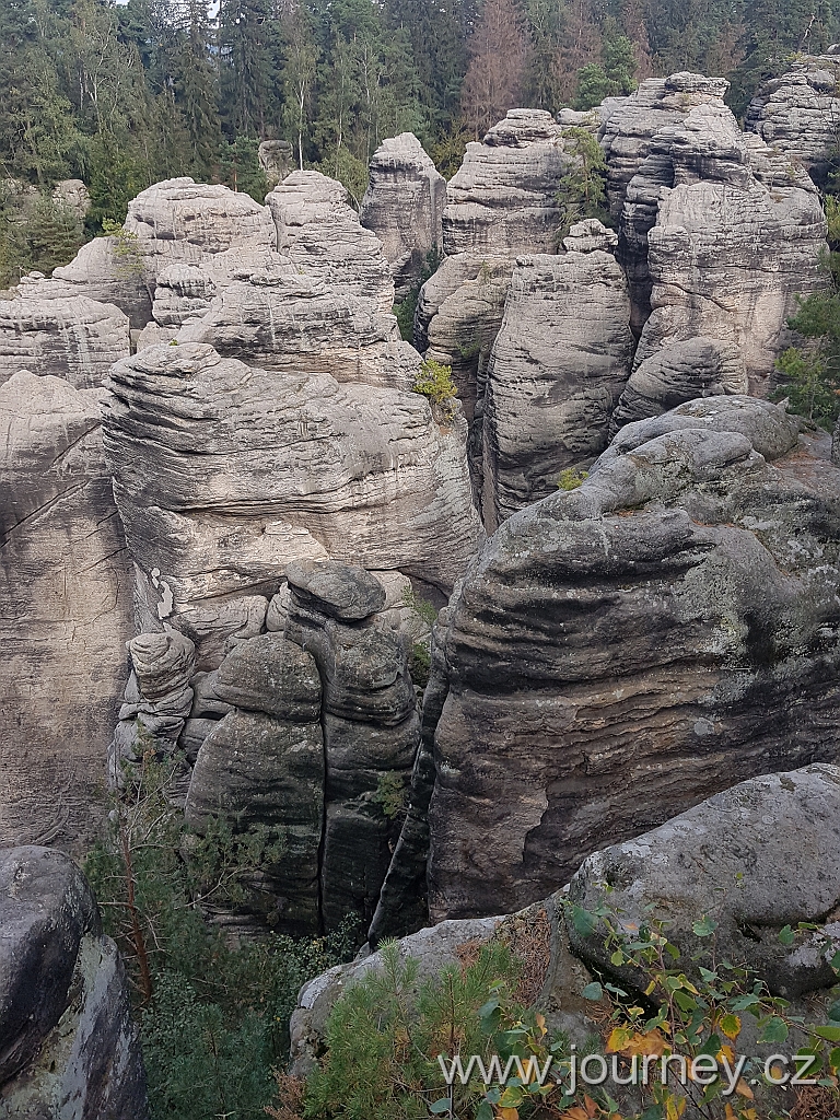20201003_134519.jpg
