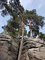 20201003_144102(0)
